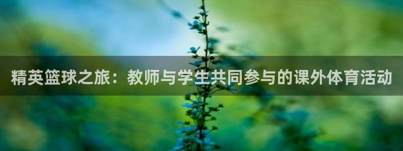  精英篮球之旅：教师与学生共同参与的课外体育活动