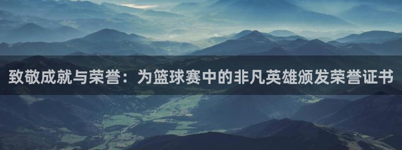 VSPORT什么意思：致敬成就与荣誉：为篮球赛中的非凡英雄颁