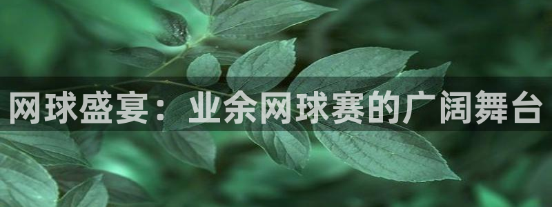  vsports胜利因您更精：网球盛宴：业余网球赛的广阔舞台