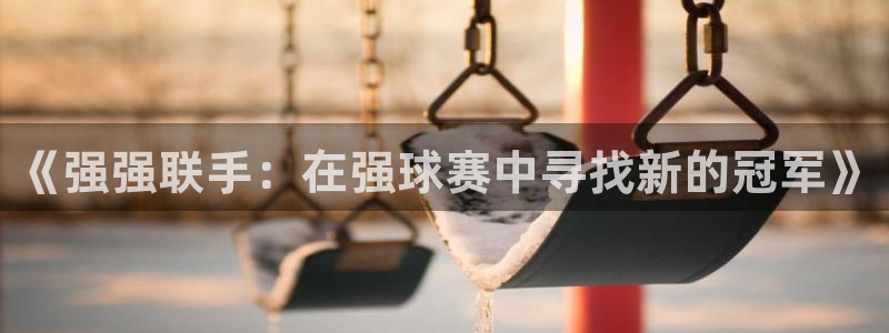 vsport体育在线官网阿根廷：《强强联手：在强球赛中寻找新