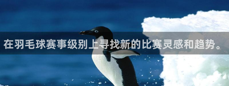  vsports：在羽毛球赛事级别上寻找新的比赛灵感和趋势。