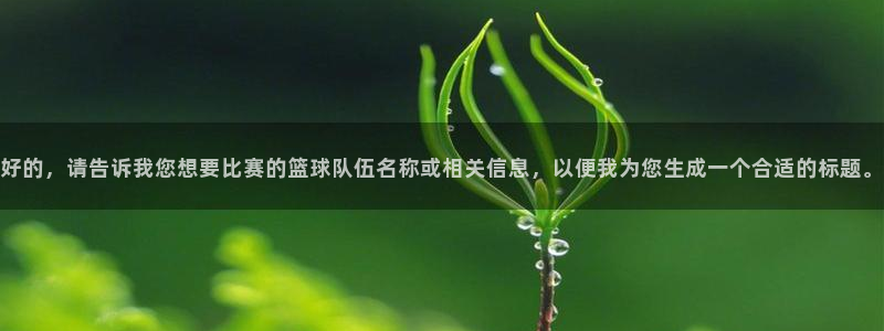 vsport体育祝贺阿根廷成为：好的，请告诉我您想要比赛的篮