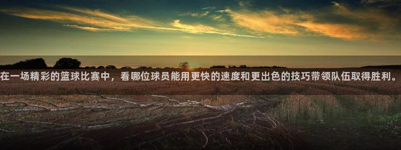 VSPORT是哪国的品牌：在一场精彩的篮球比赛中，看哪位球员