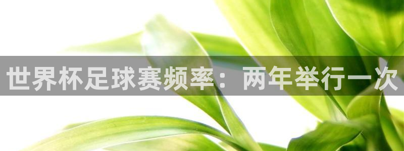 vsport体育app：世界杯足球赛频率：两年举行一次