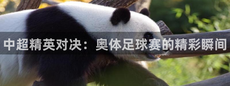  Vsports网页版登录入口：中超精英对决：奥体足球赛的精彩