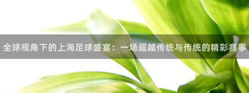  vsports - 胜利因您更精彩：全球视角下的上海足球盛宴