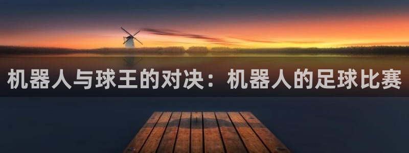 vsport胜利因你而精彩阿根廷：机器人与球王的对决：机器人
